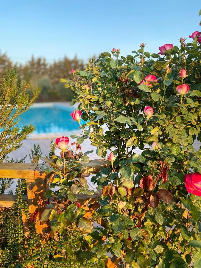 Agriturismo Le Giare Bagno Roselle Exteriör bild